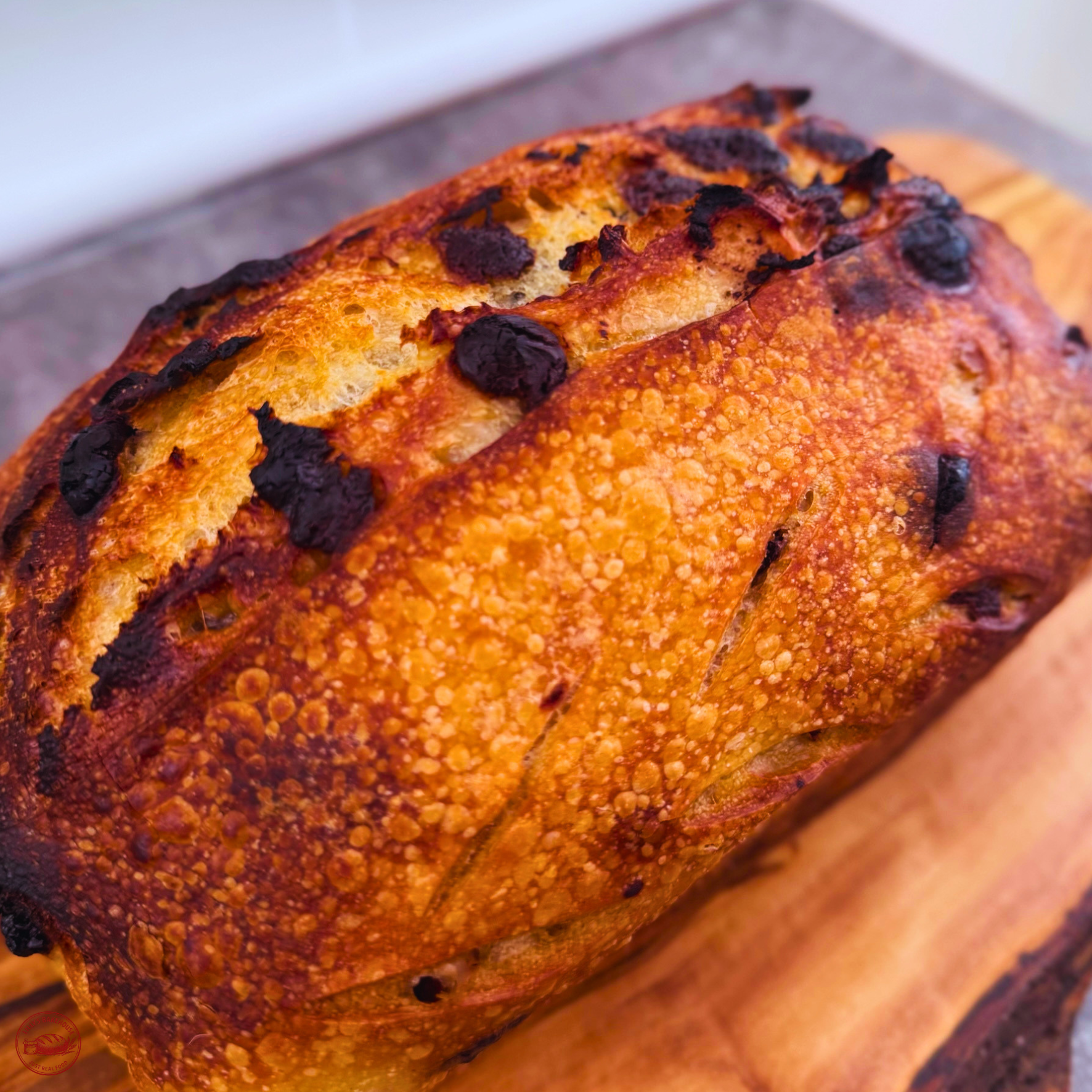 Double Chocolate Sourdough Bread