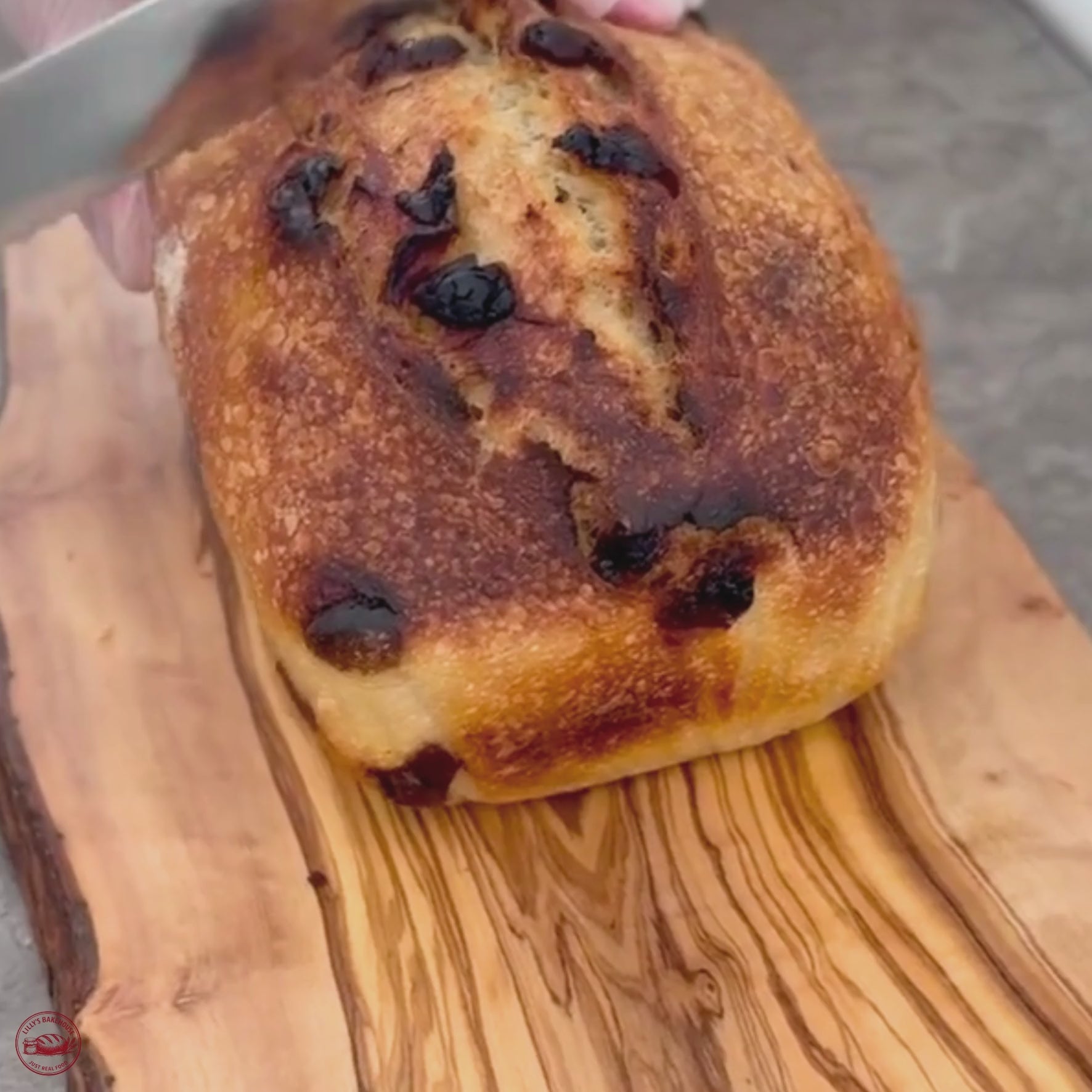 Double Chocolate Sourdough Bread